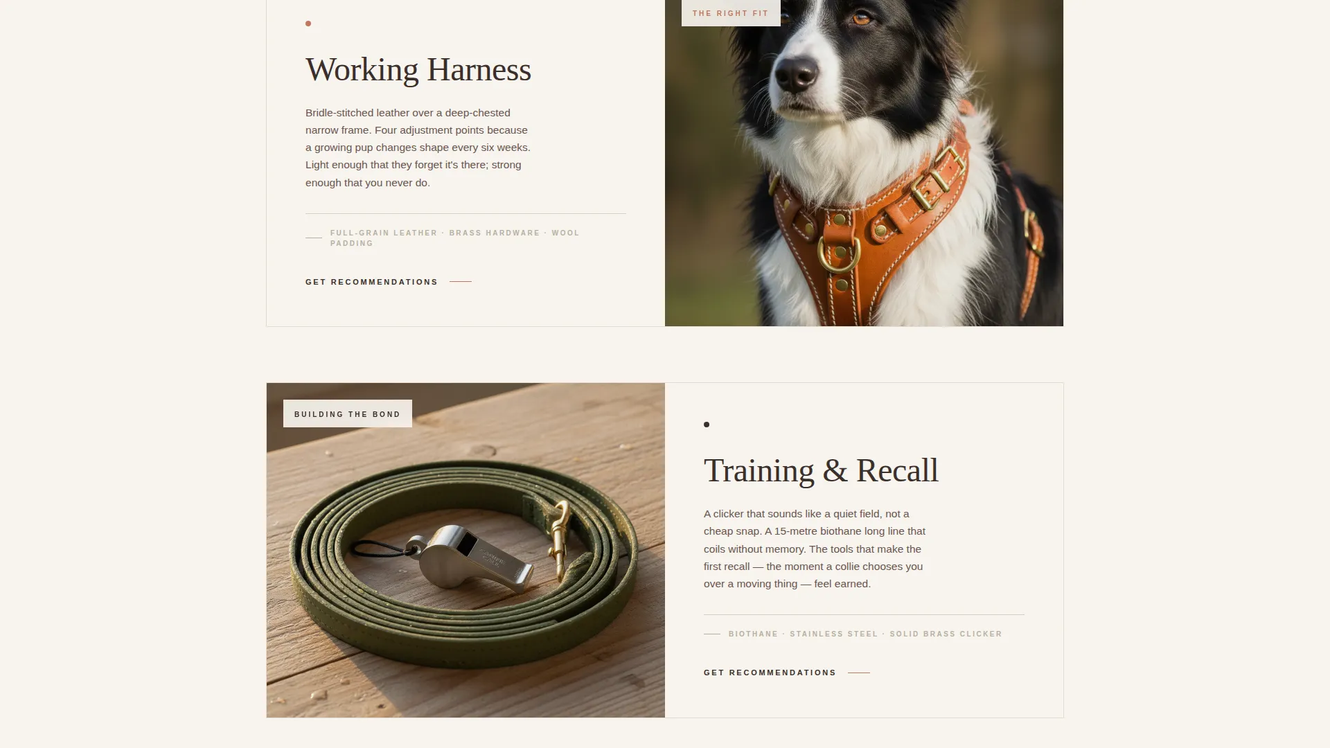 Dog Certified Booking Website Template