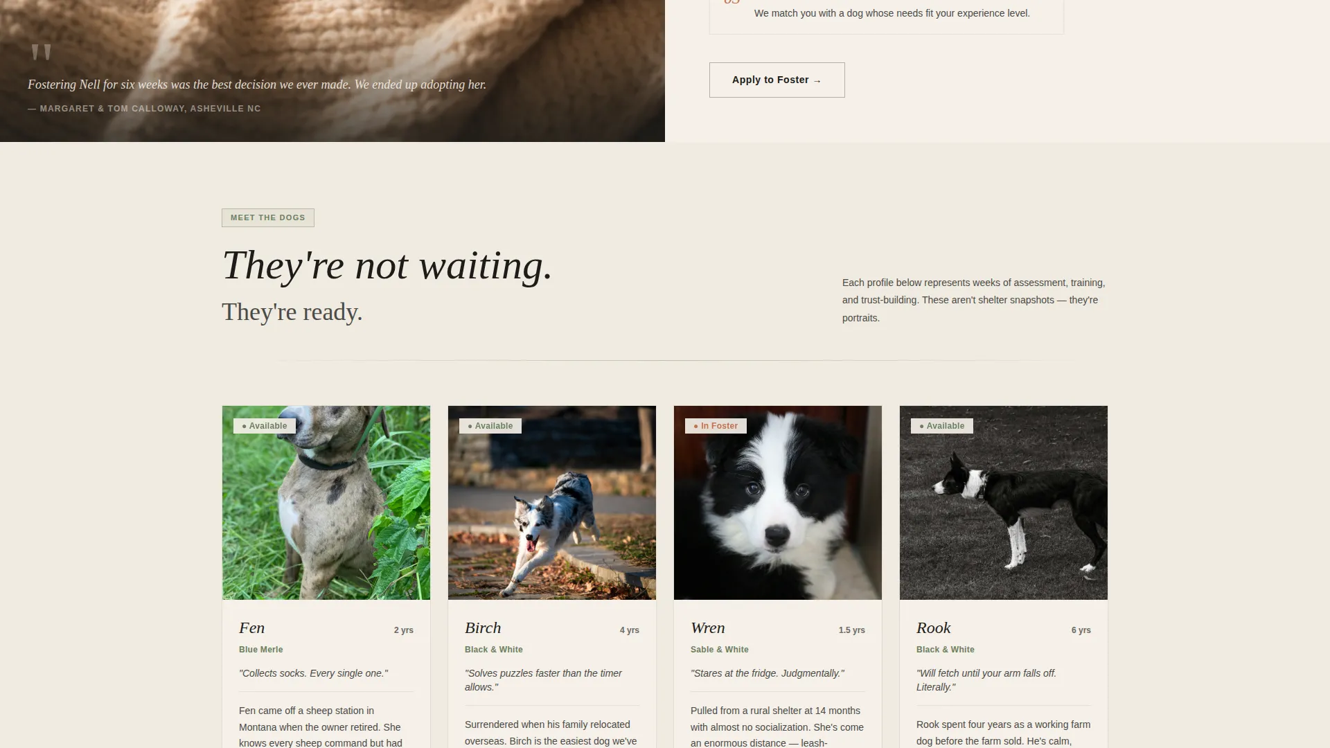 Dog Local Booking Website Template