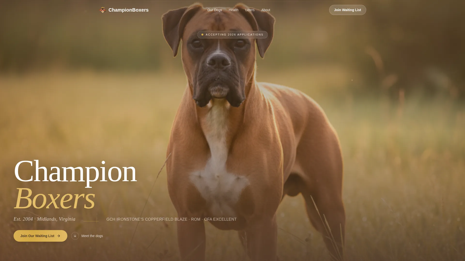Dog Professional Website Template