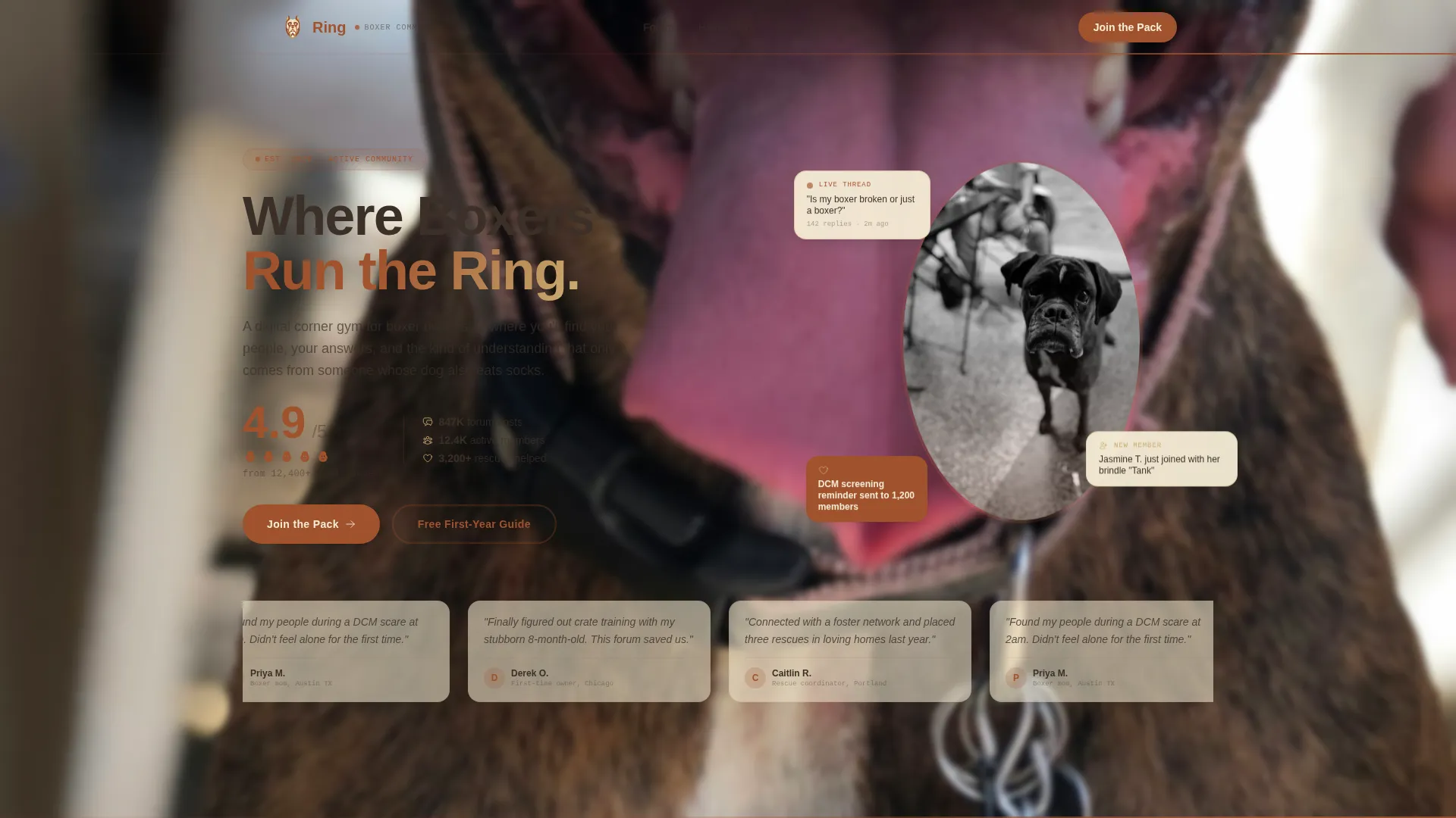 Dog Reviews Website Template