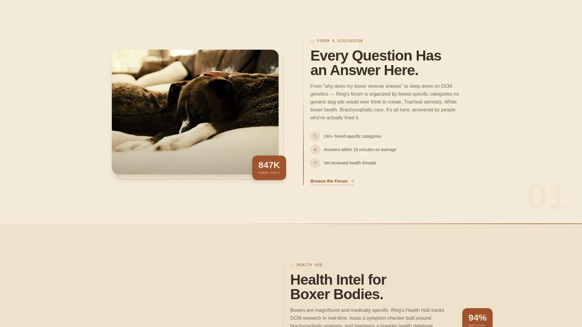 Dog Reviews Website Template
