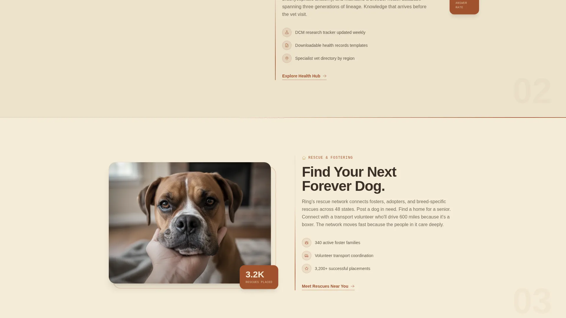 Dog Reviews Website Template