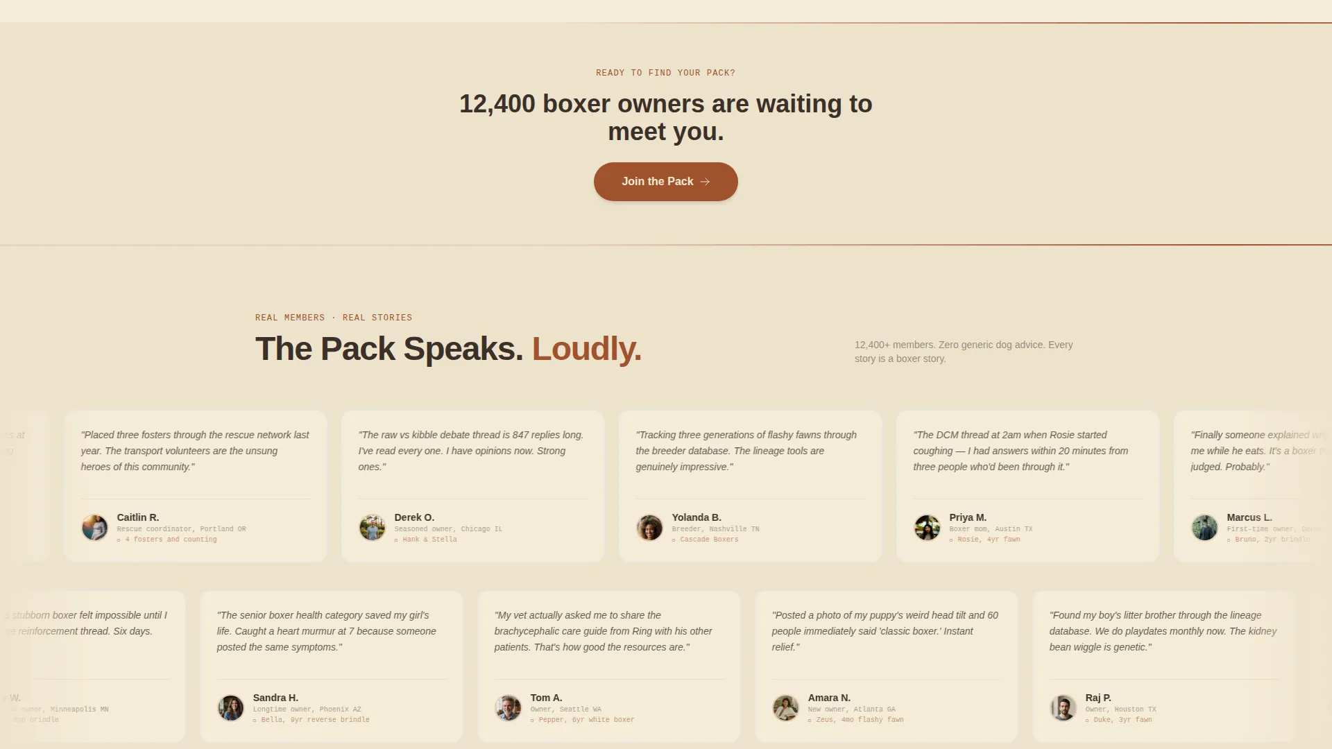 Dog Reviews Website Template