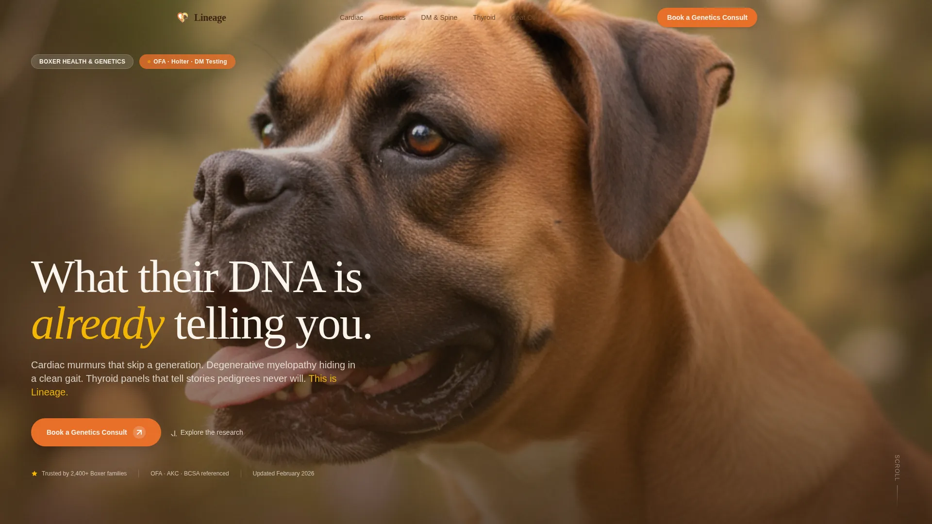 Dog Advanced Booking Website Template