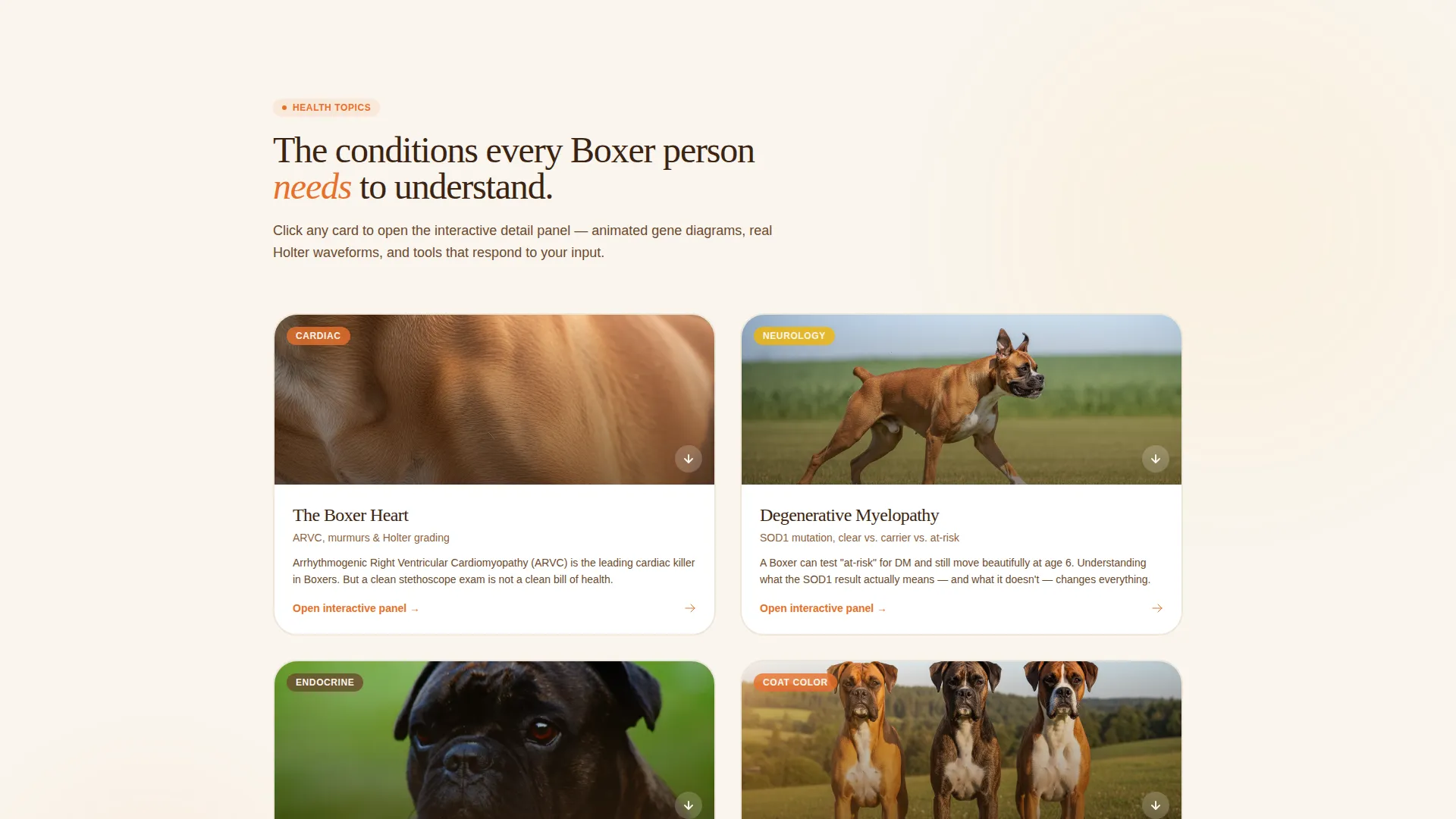 Dog Advanced Booking Website Template