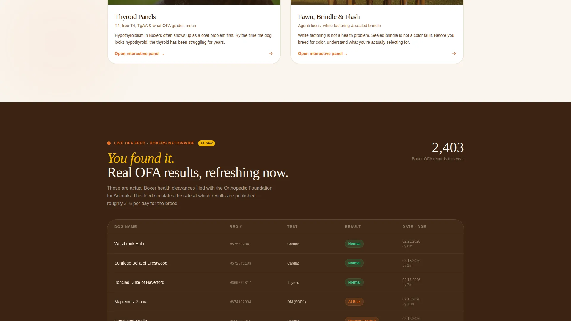 Dog Advanced Booking Website Template