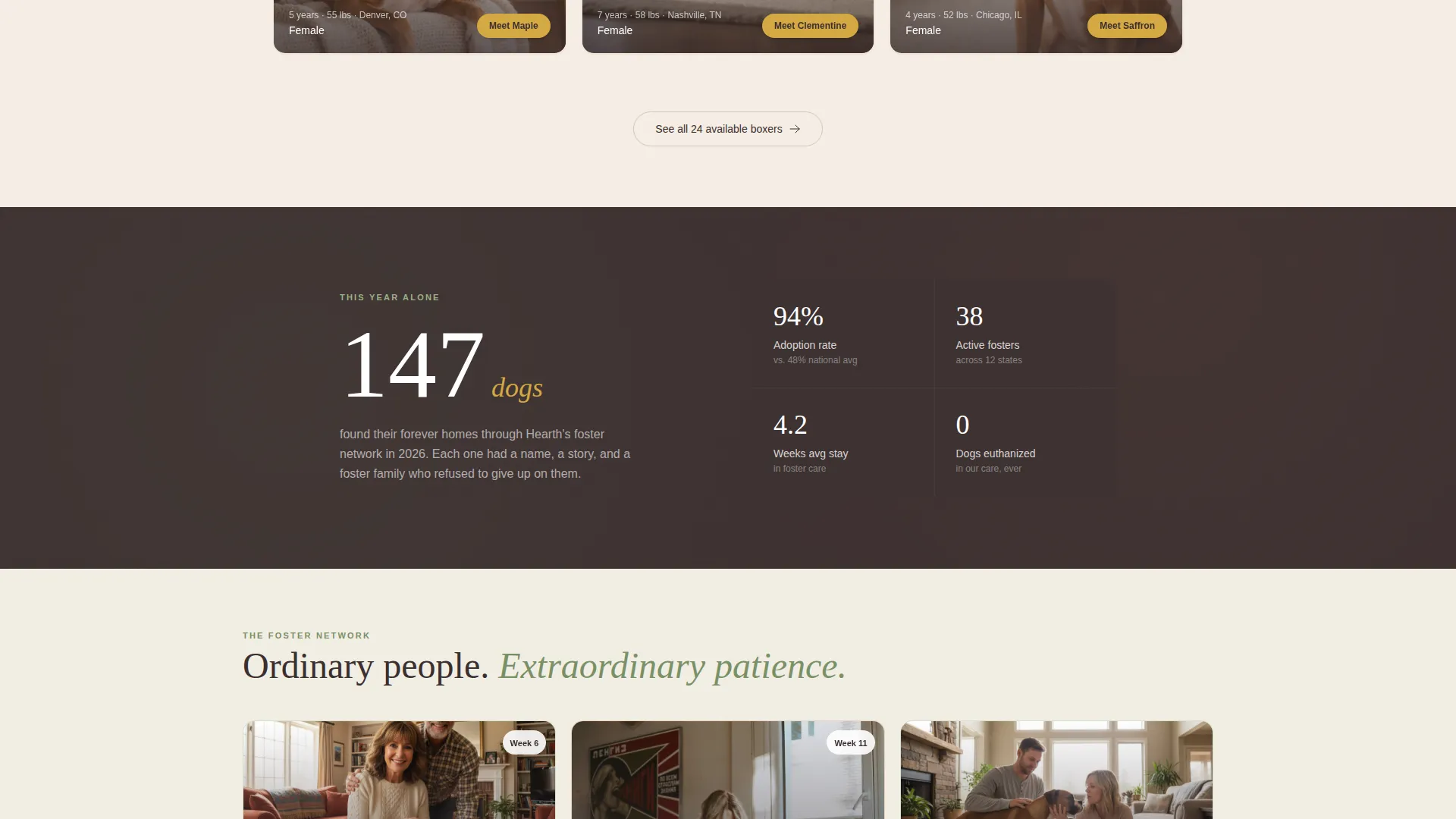 Dog Specialist Professional Website Template
