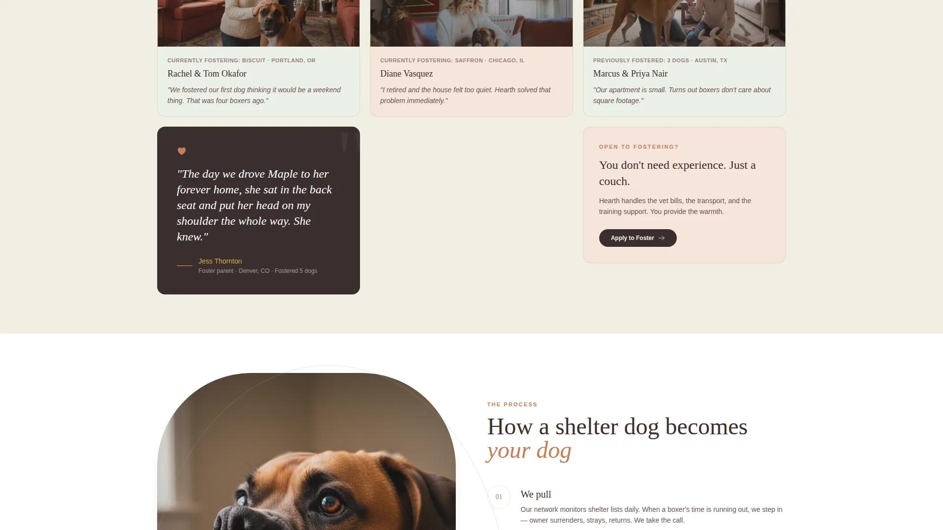 Dog Specialist Professional Website Template
