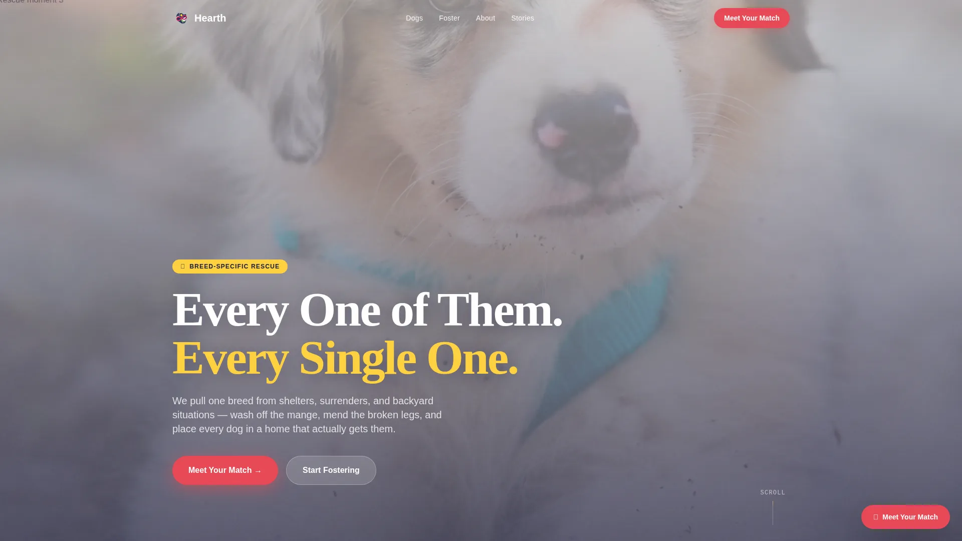 Breed-Specific Rescue Landing Page Template