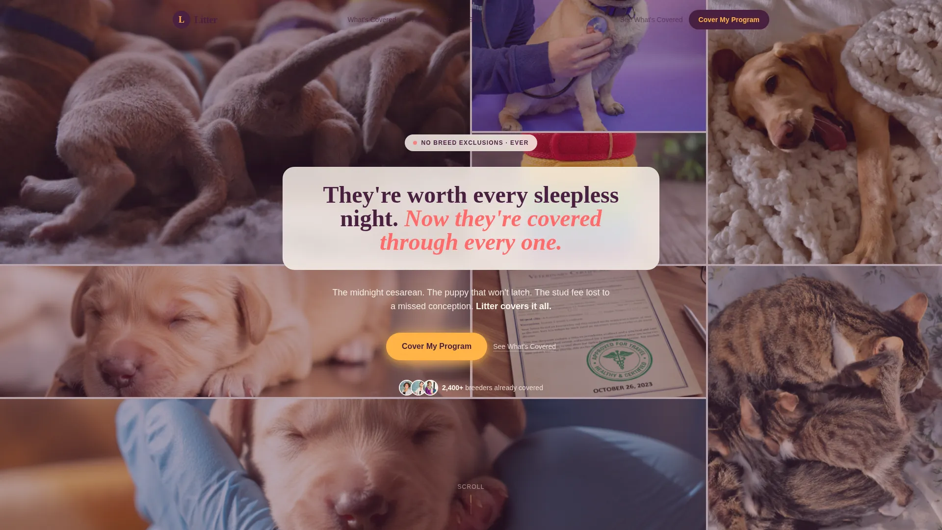 Breeder Insurance Landing Page Template
