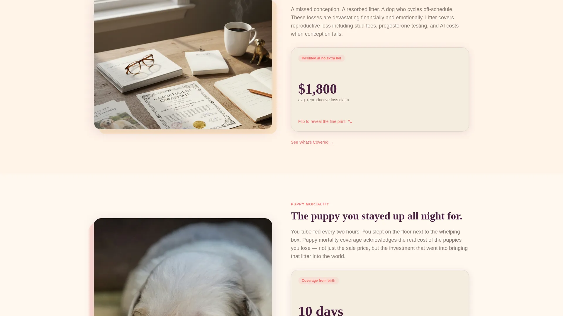 Breeder Insurance Landing Page Template