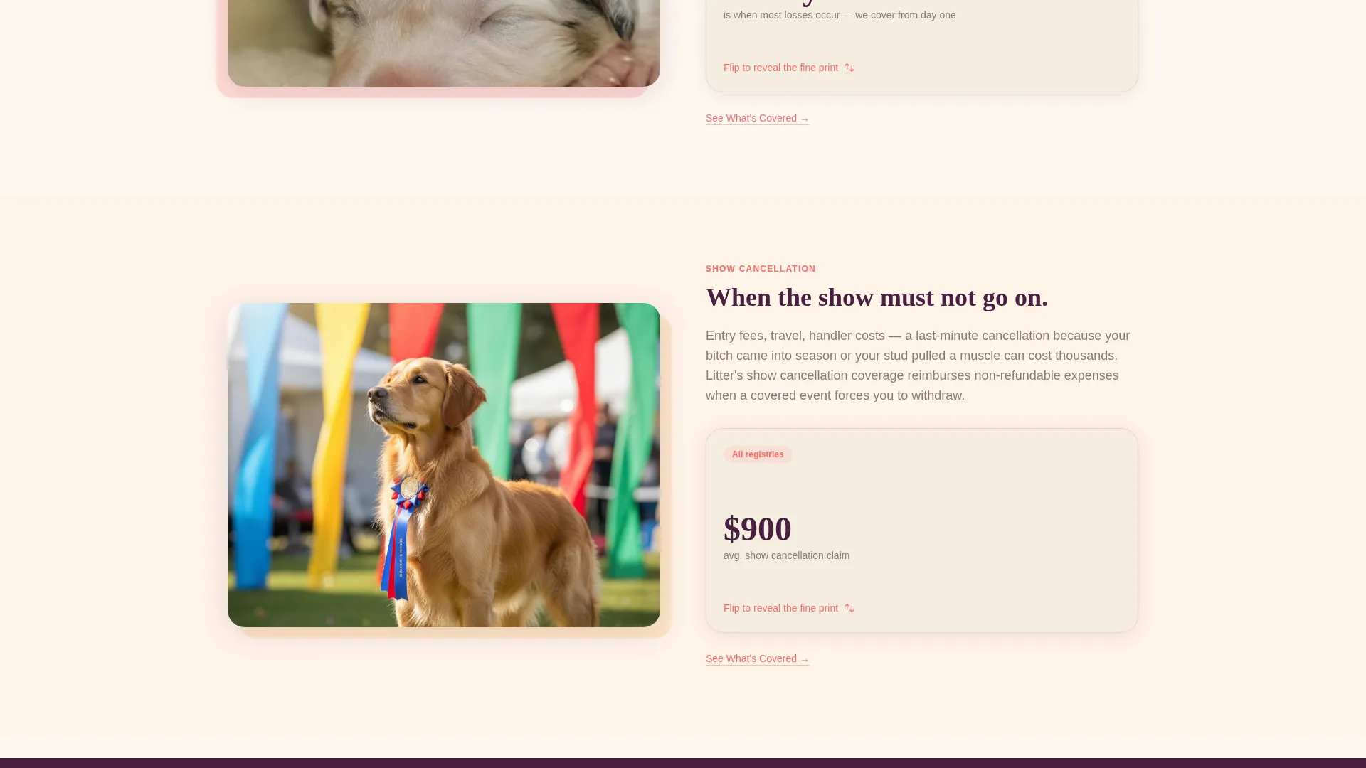 Breeder Insurance Landing Page Template