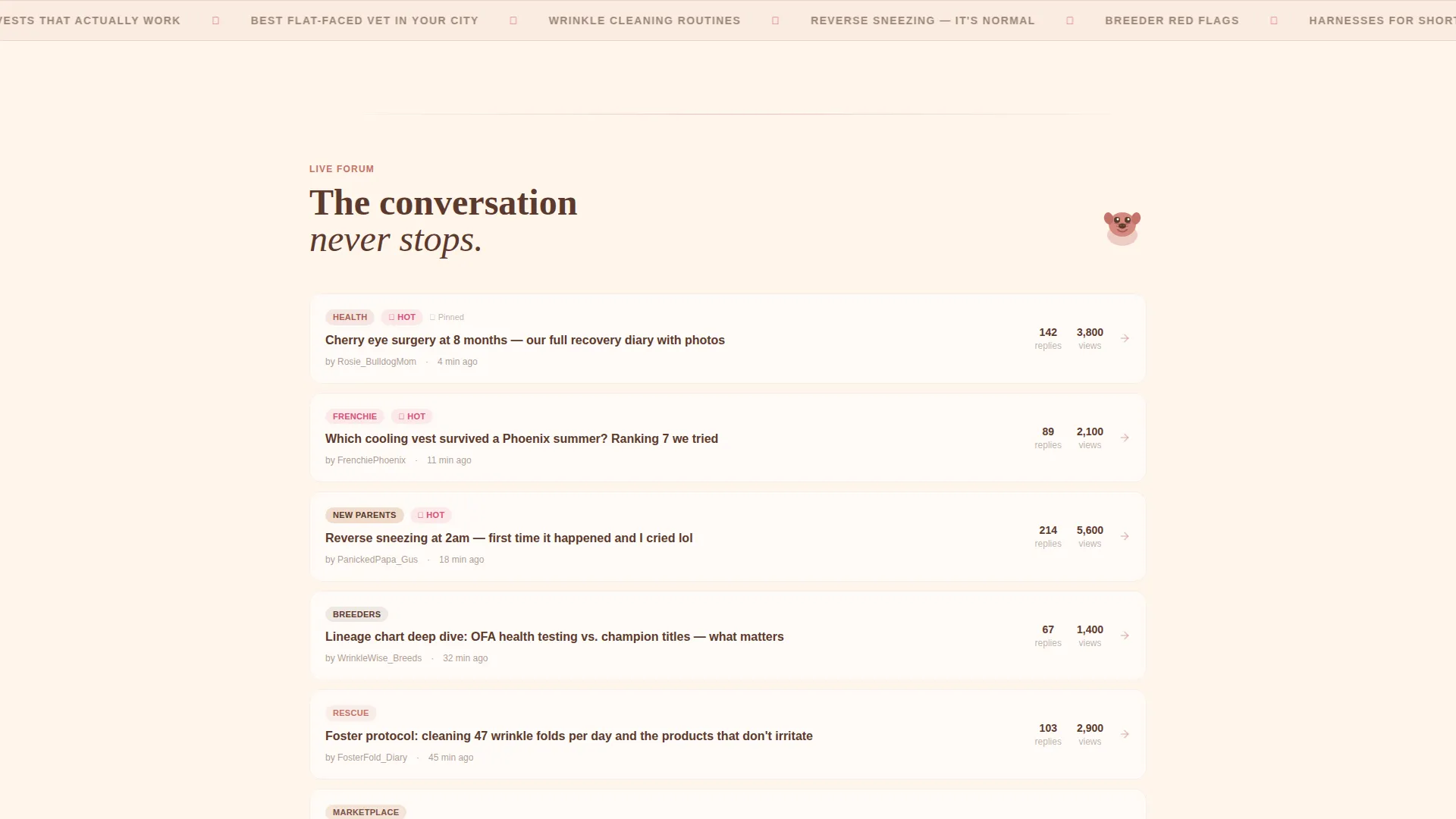Dog Independent Professional Website Template