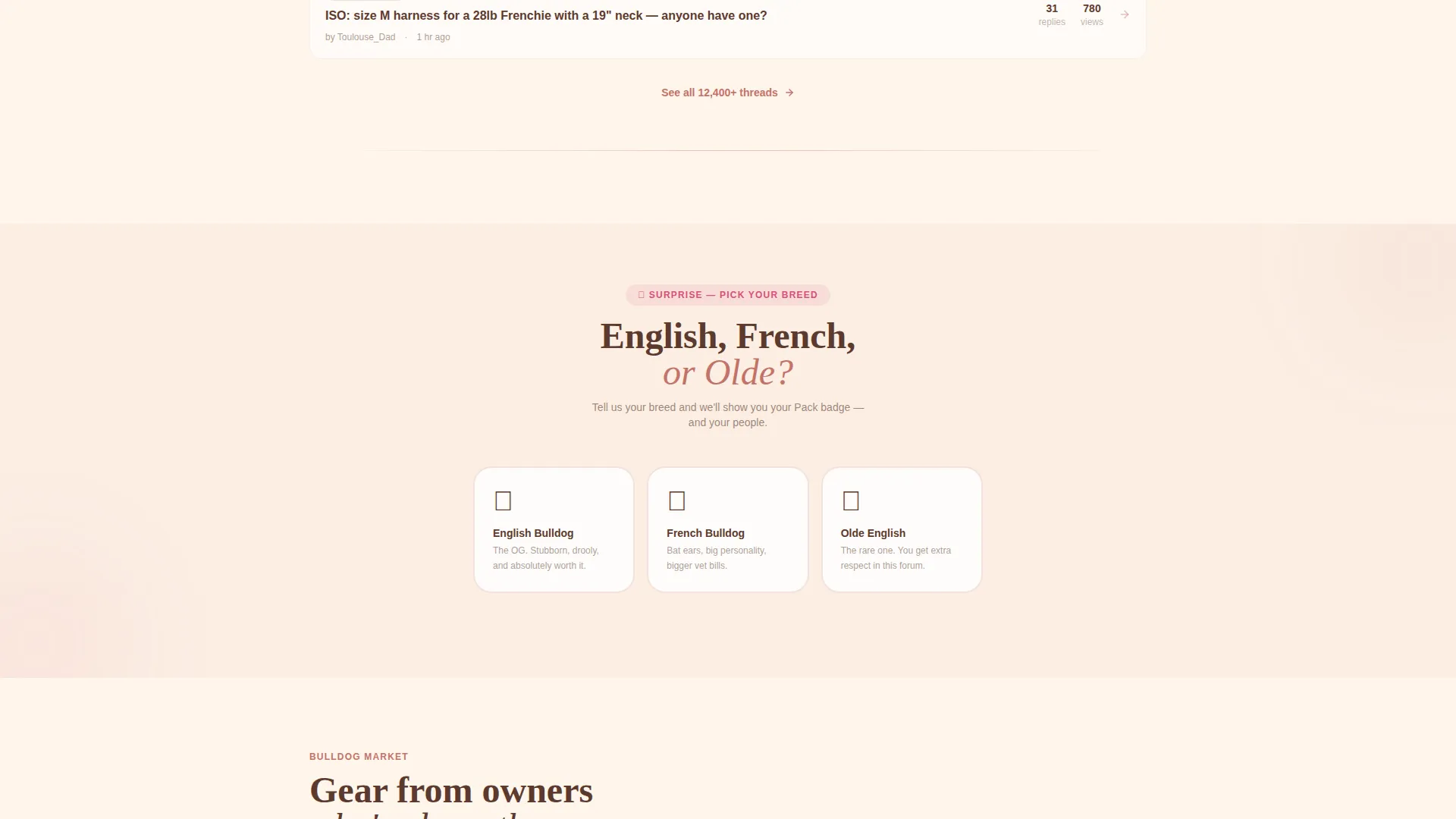 Dog Independent Professional Website Template