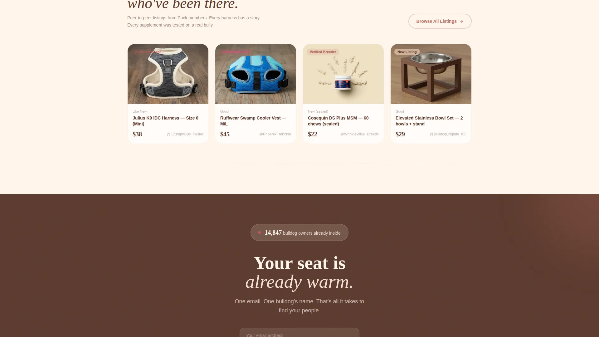 Dog Independent Professional Website Template