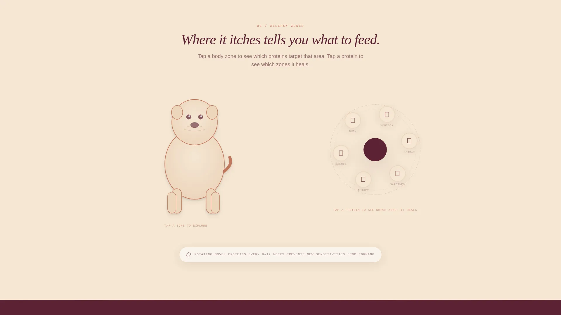 Dog Online Booking Website Template