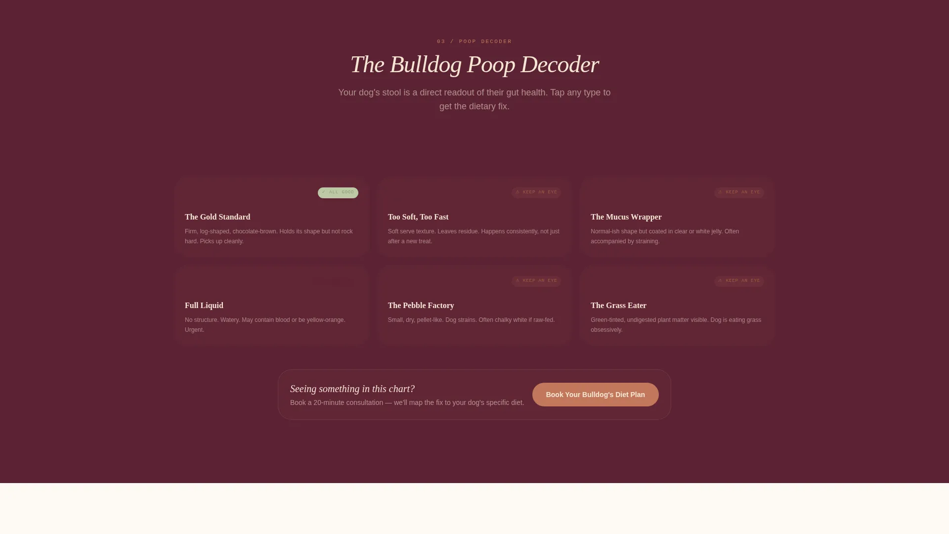 Dog Online Booking Website Template