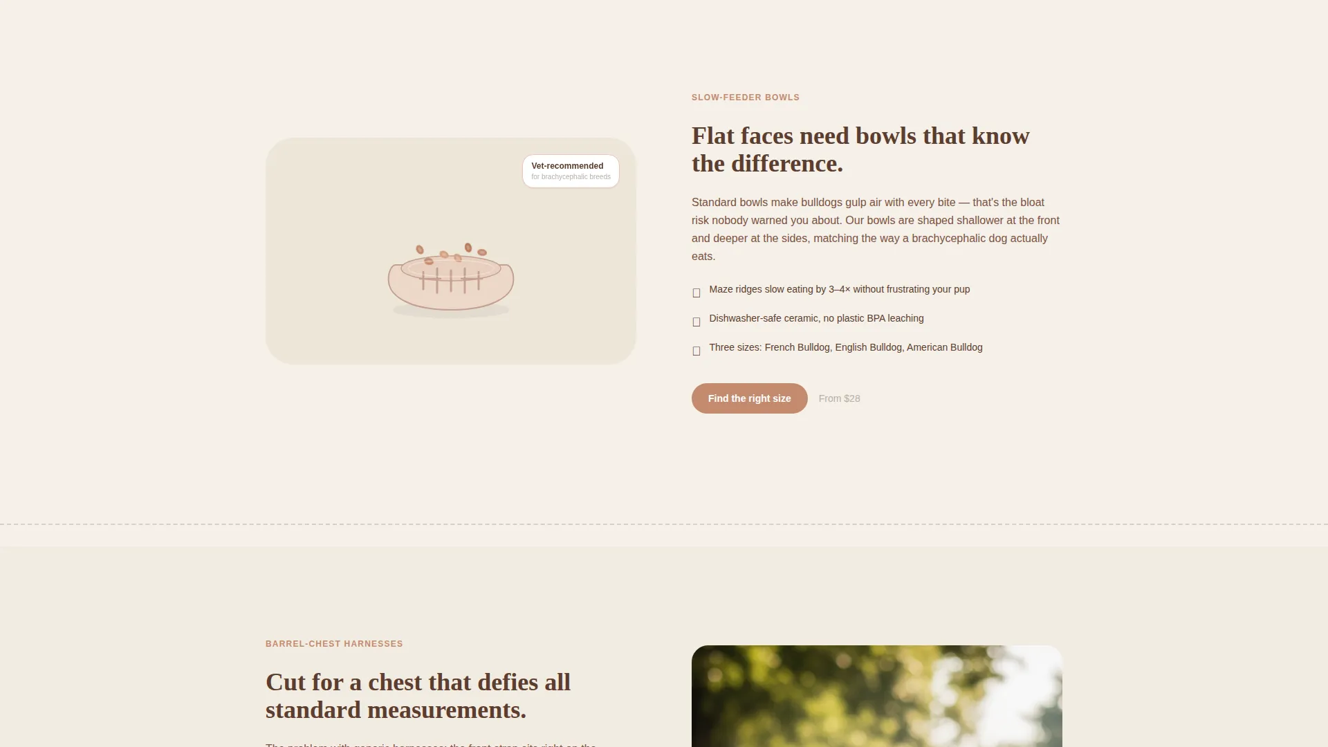 Dog Virtual Professional Website Template