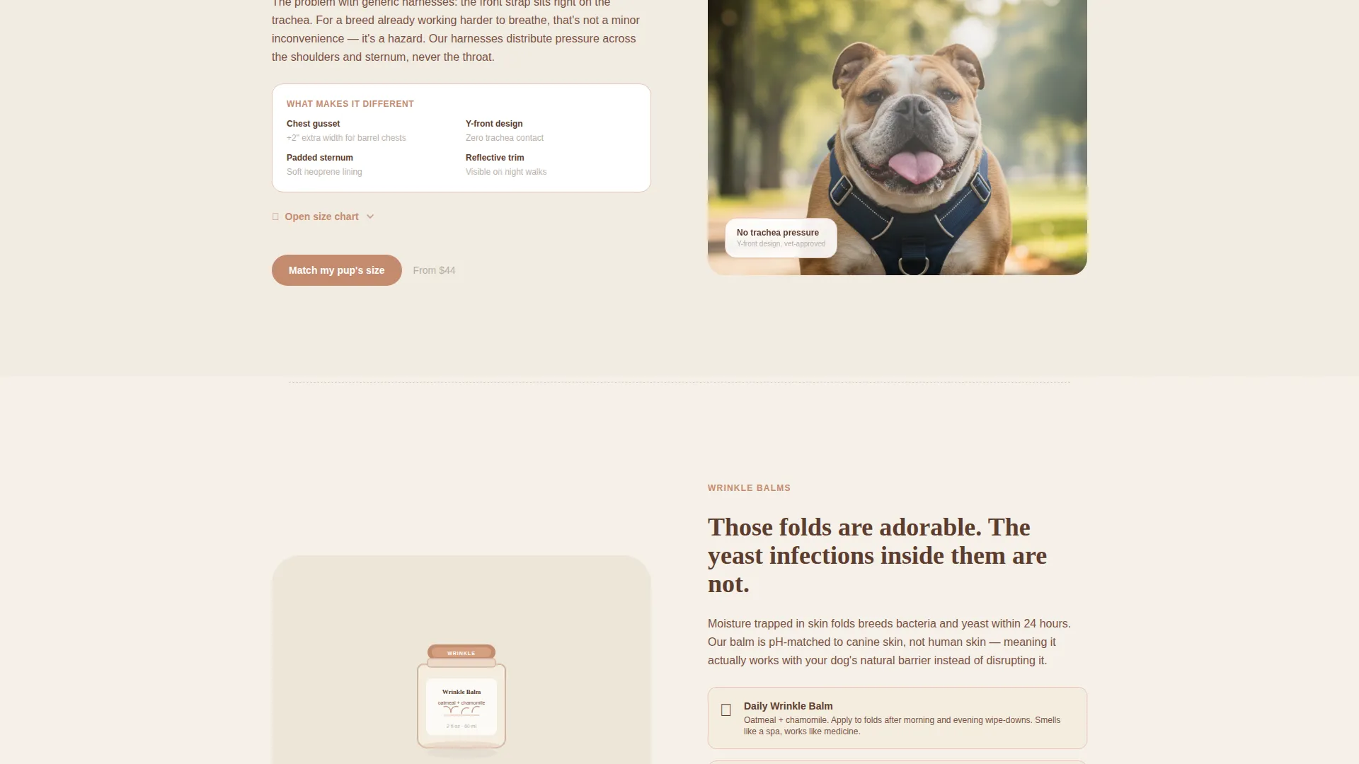 Dog Virtual Professional Website Template