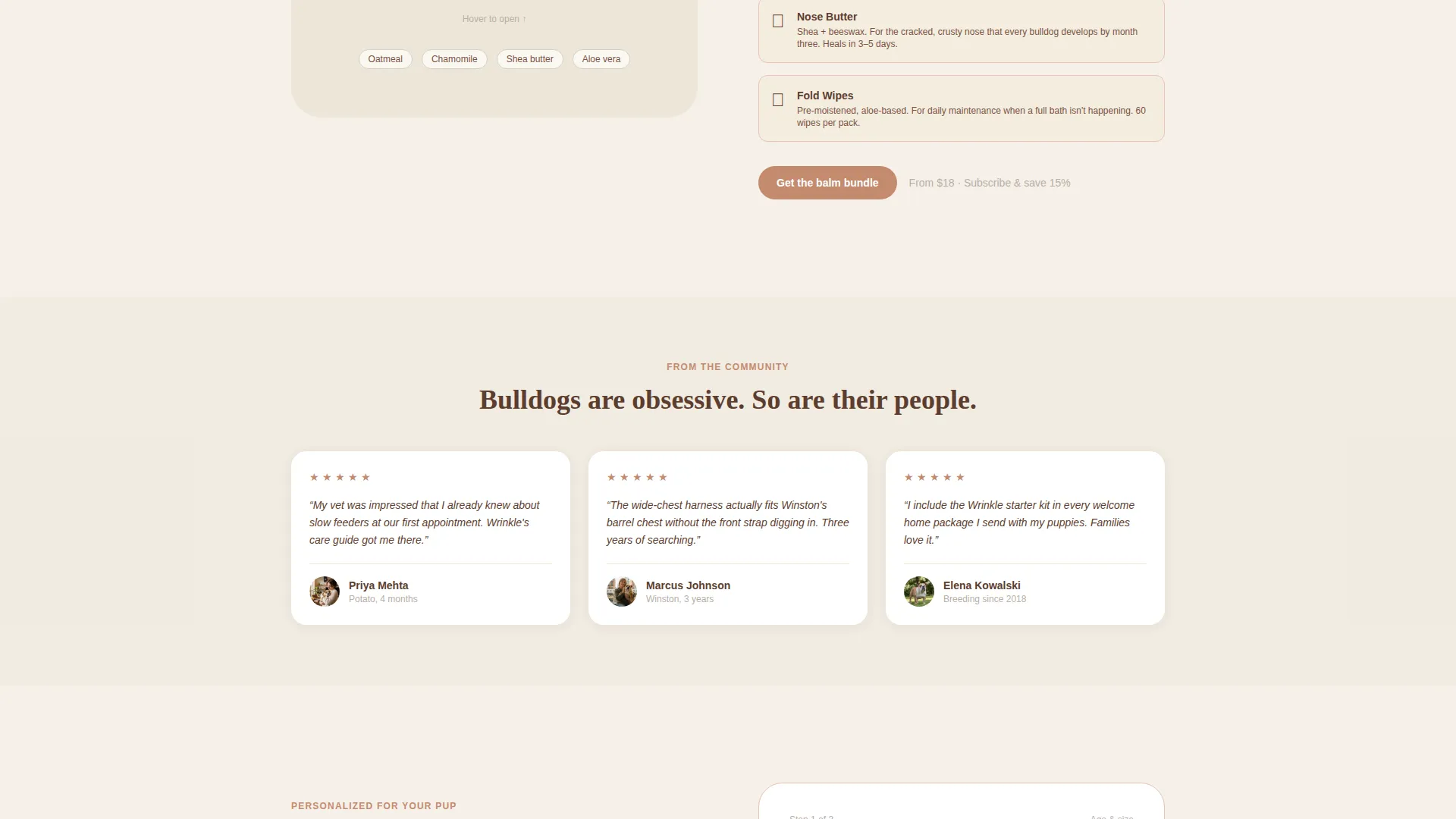 Dog Virtual Professional Website Template