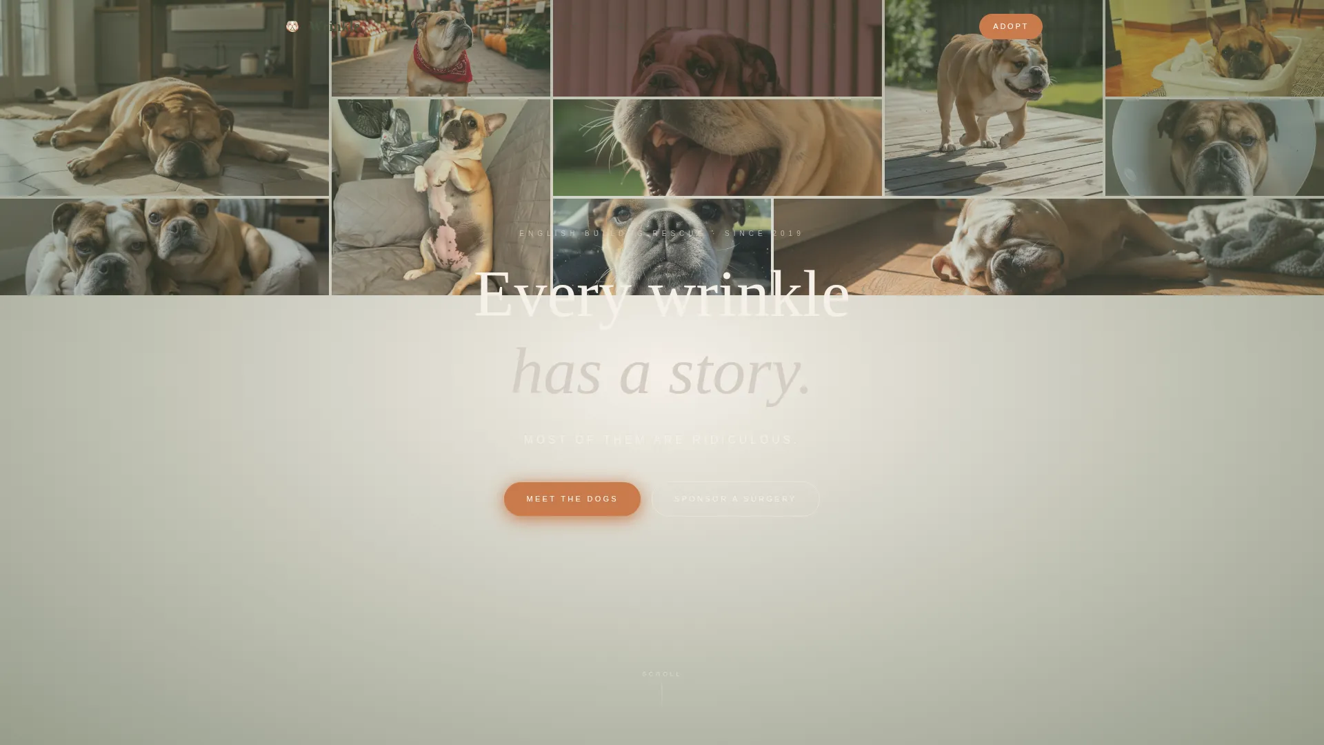 Dog Complete Pricing Website Template
