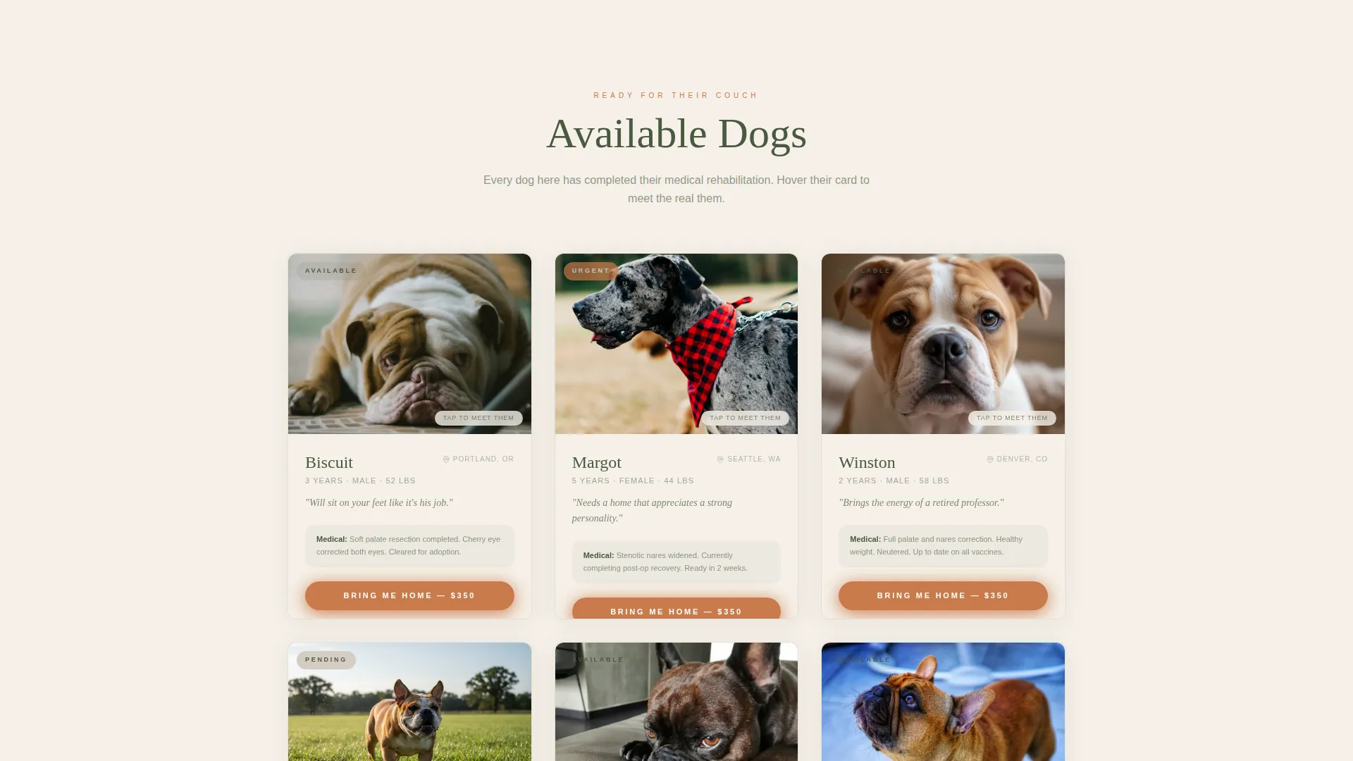 Dog Complete Pricing Website Template