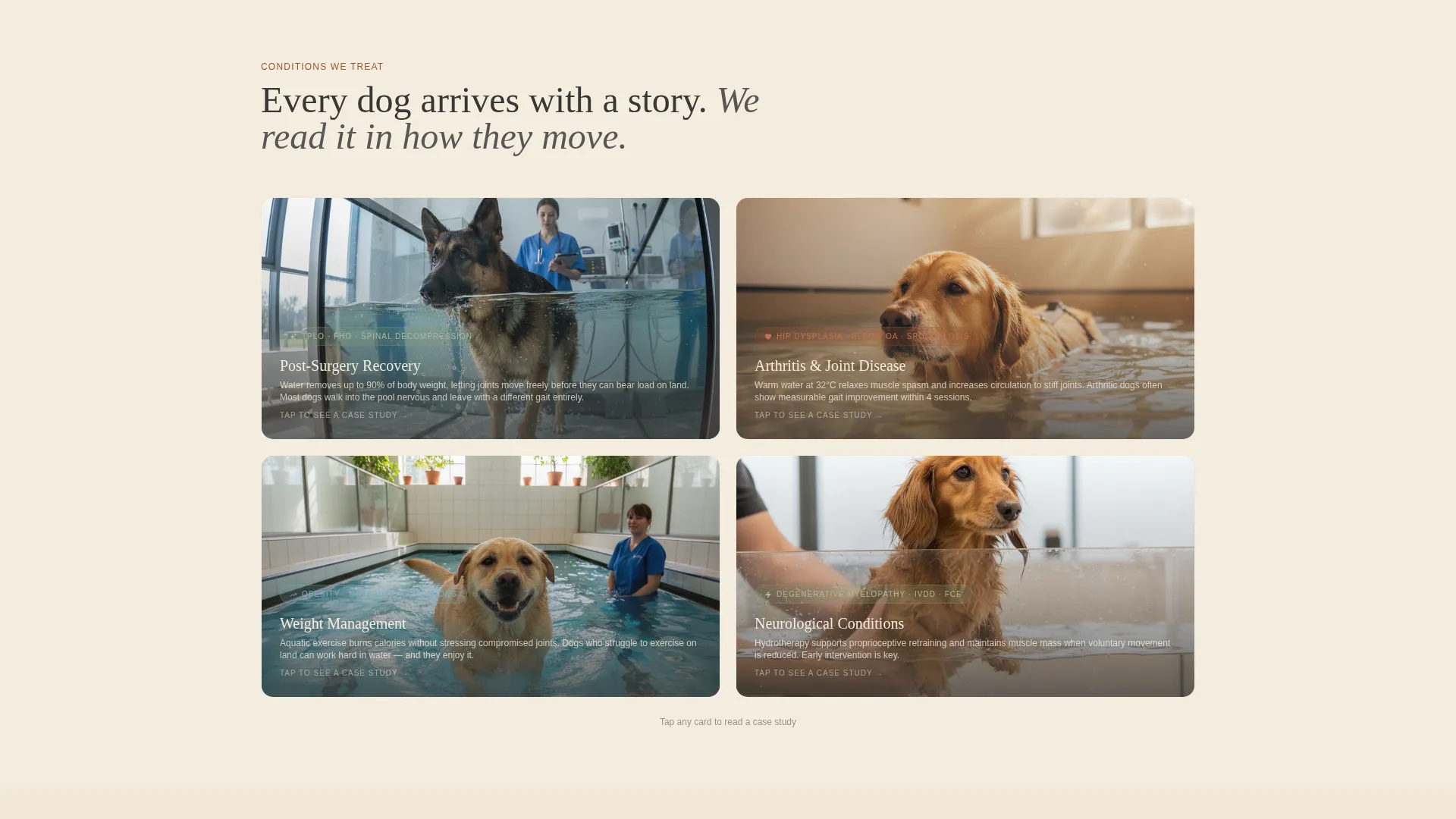 Animal Therapy & Booking Website Template