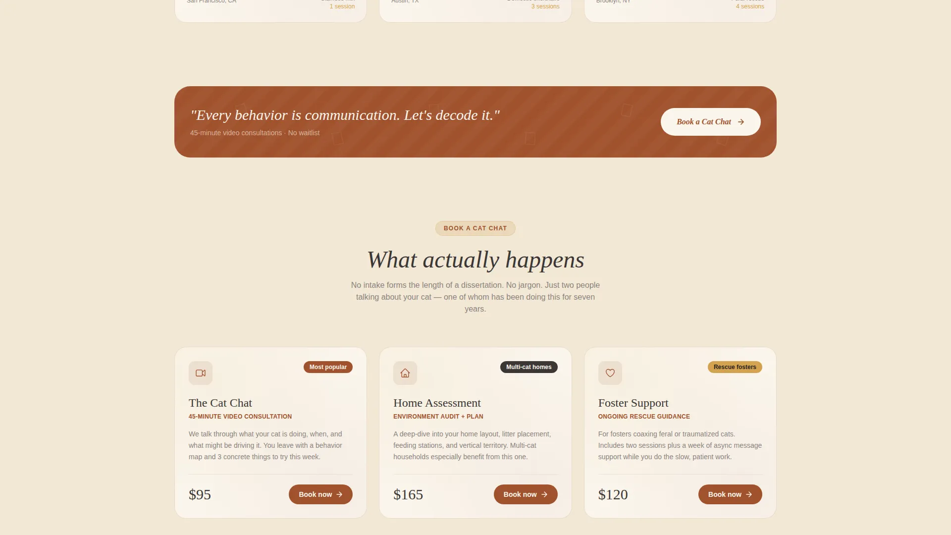 Cat Specialist Booking Website Template