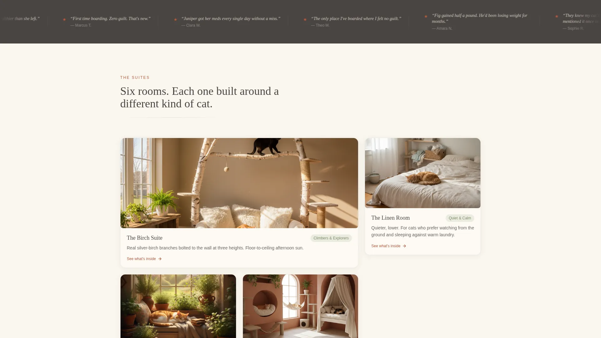 Pet Boarding & Daycare Reviews & Social Proof Website Template