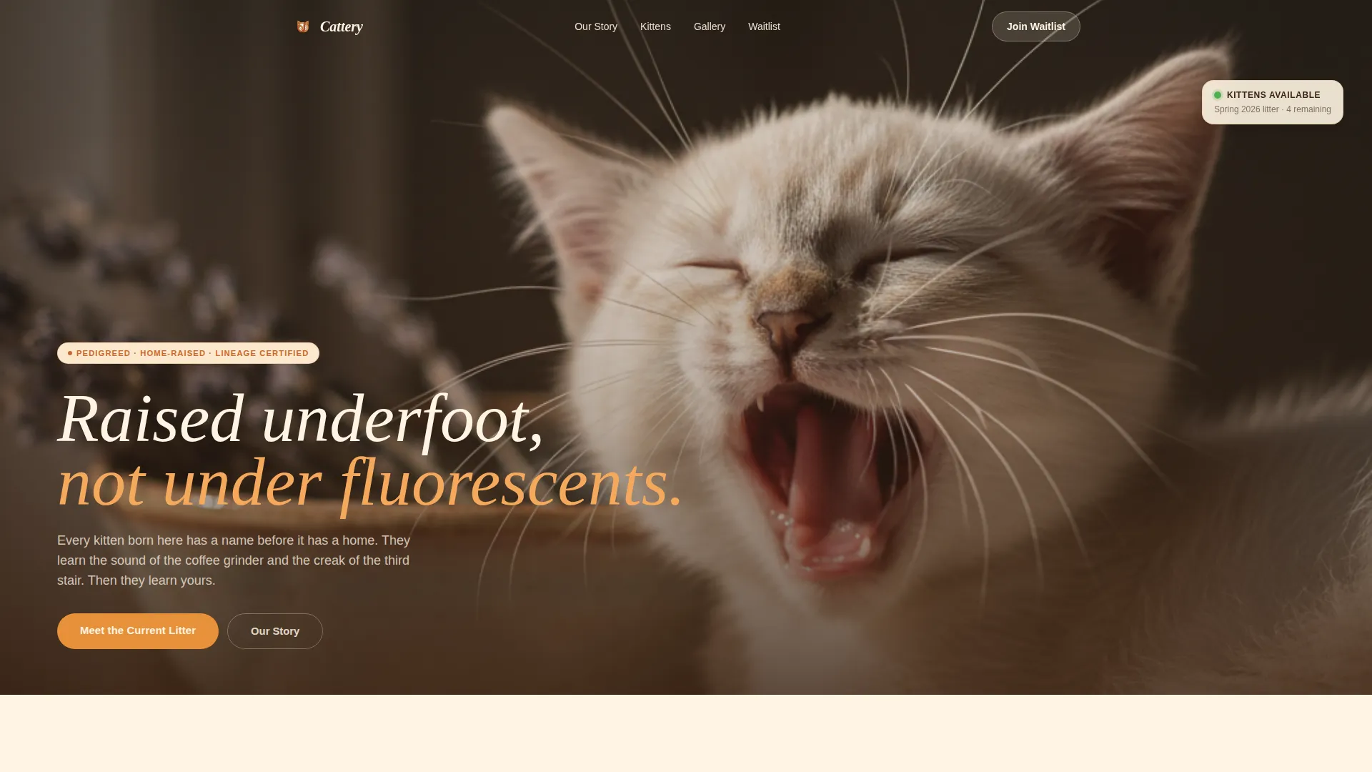 Landing Page Template for Artisan Cat Breeders