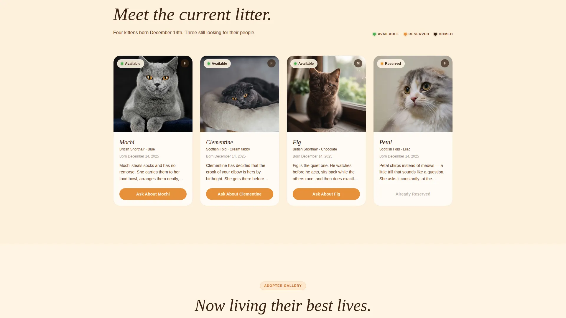 Landing Page Template for Artisan Cat Breeders