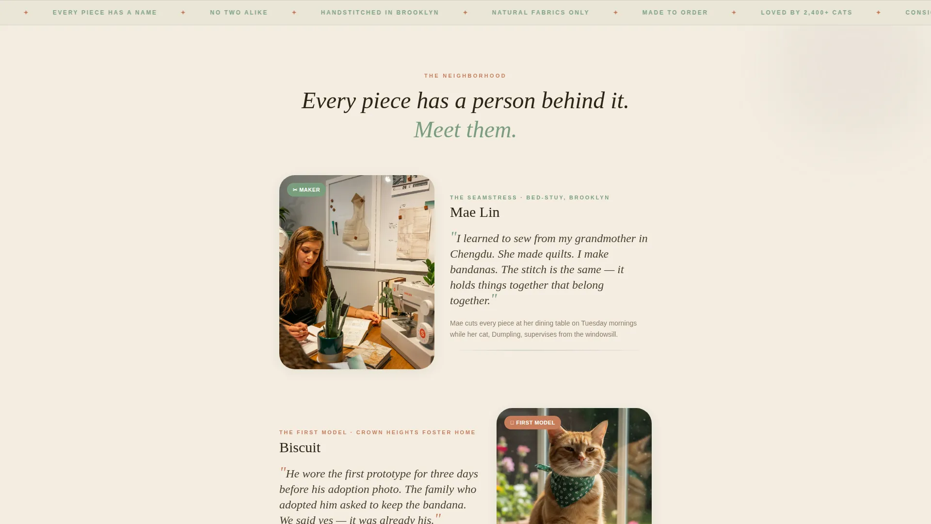 Handmade Cat Accessories Landing Page Template