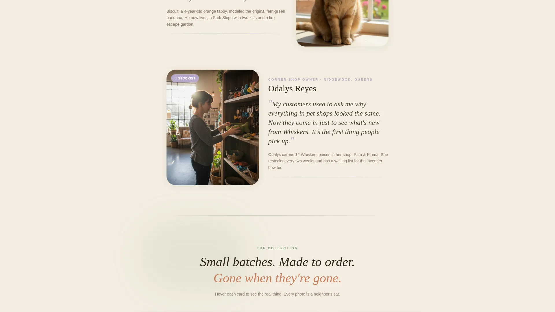 Handmade Cat Accessories Landing Page Template