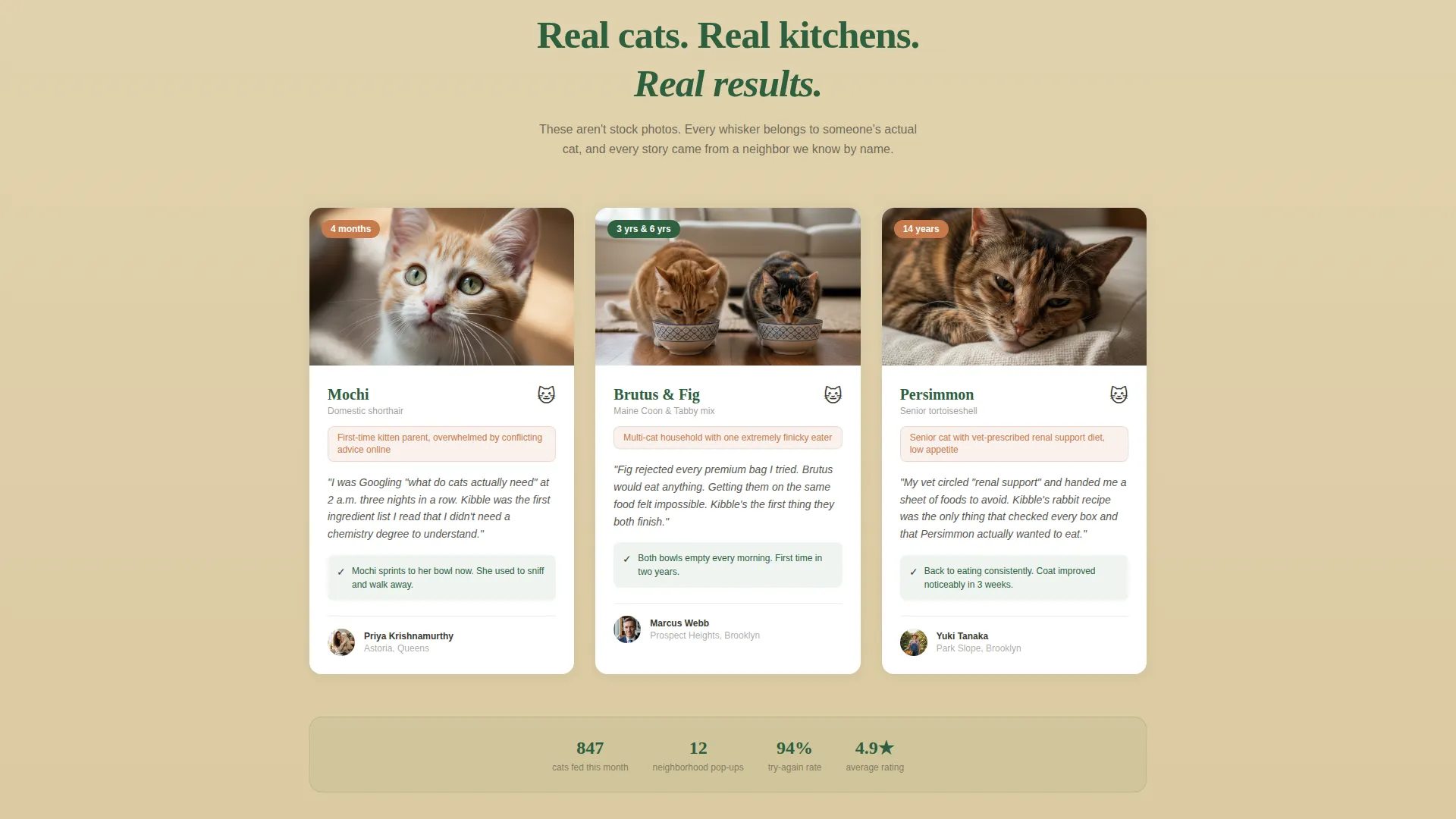 Cat Food & Nutrition Brand Landing Page Template