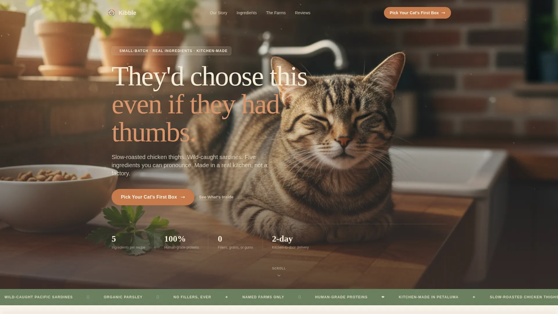 Artisan Cat Food Landing Page Template