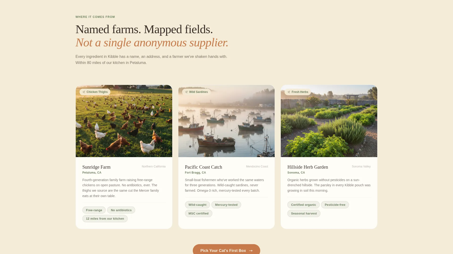 Artisan Cat Food Landing Page Template