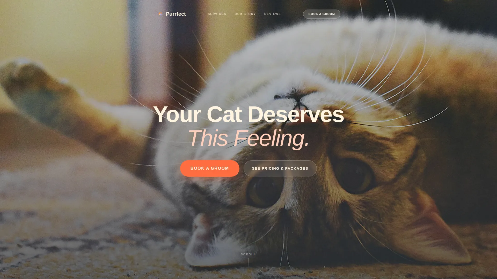 Cat Grooming Landing Page Template