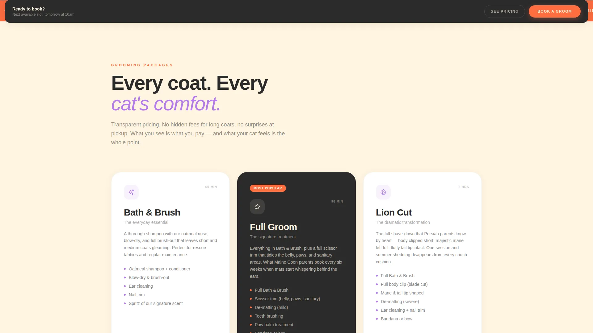 Cat Grooming Landing Page Template