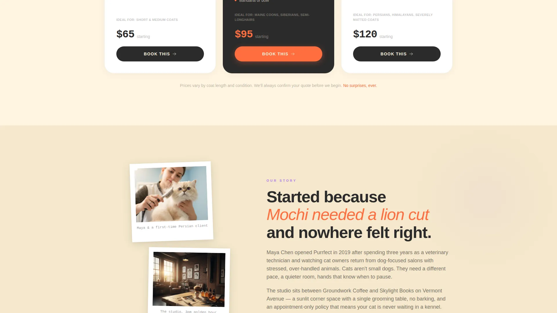 Cat Grooming Landing Page Template