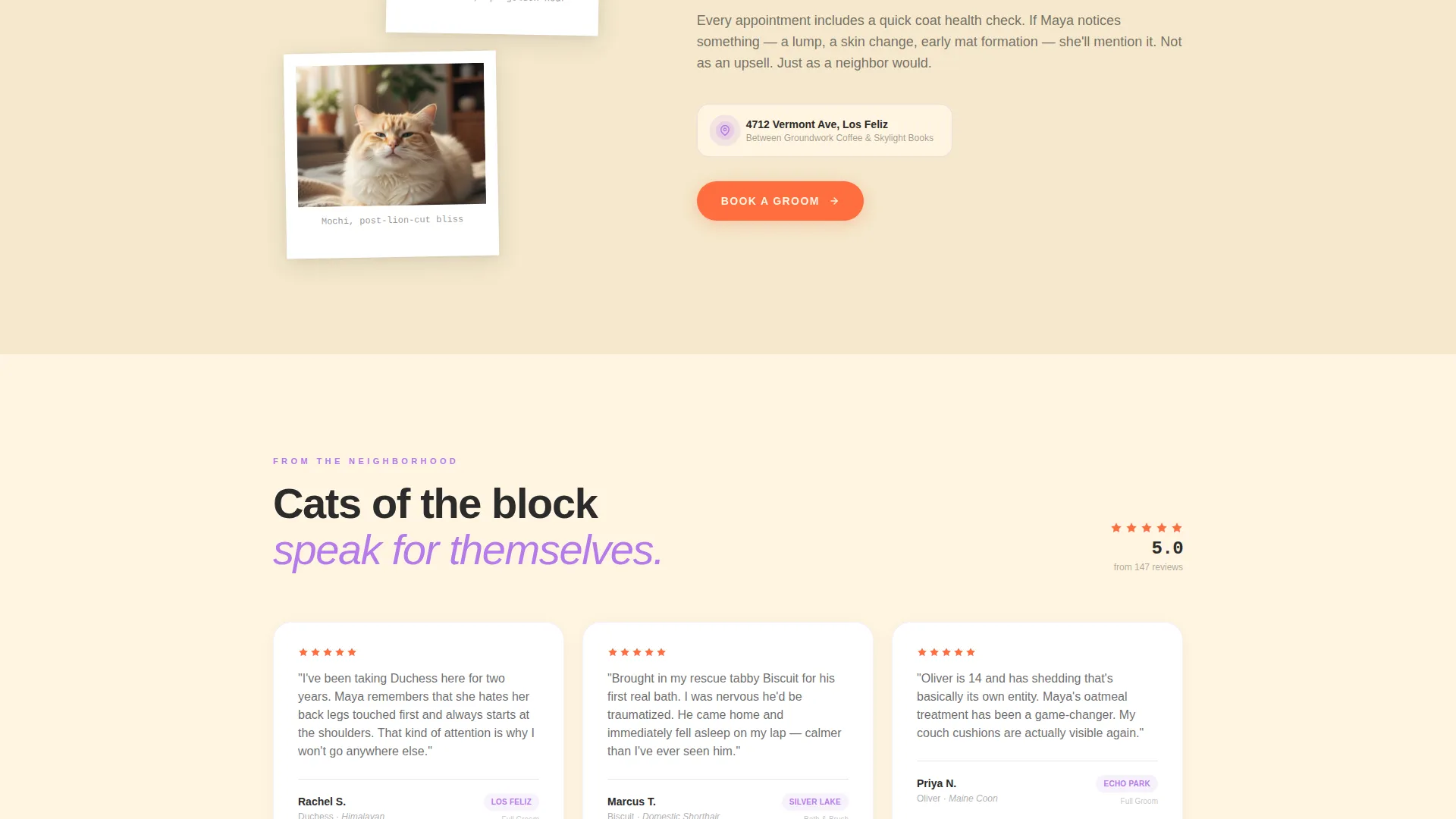 Cat Grooming Landing Page Template