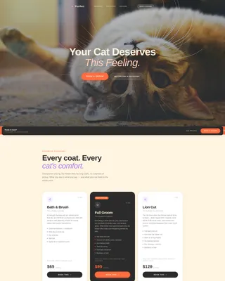 Cat Grooming Landing Page Template