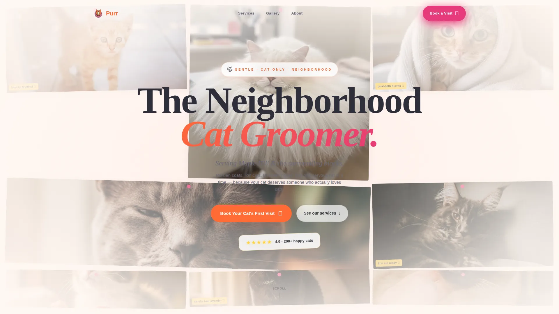 Cozy Cat Grooming Landing Page Template