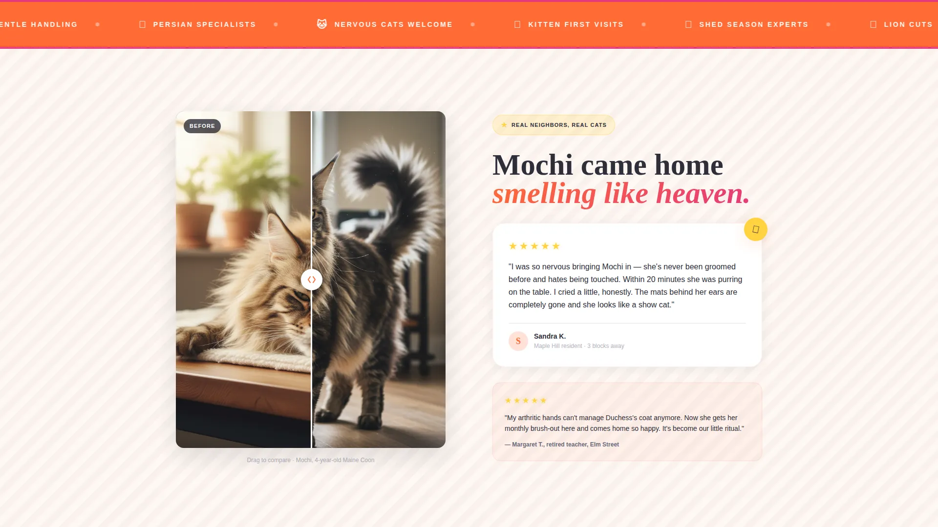 Cozy Cat Grooming Landing Page Template