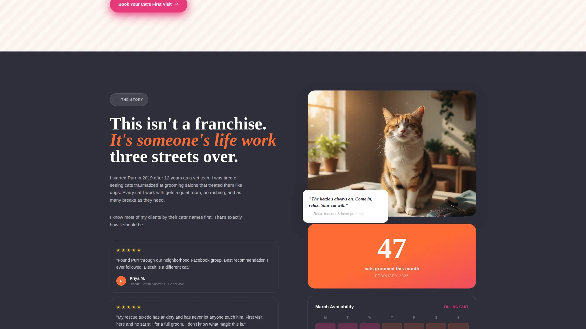 Cozy Cat Grooming Landing Page Template