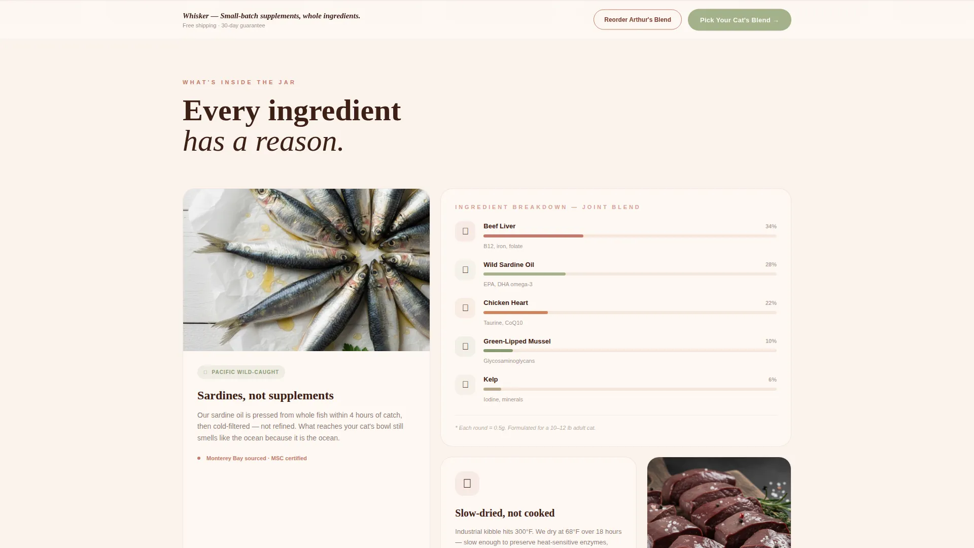 Cat Specialist Professional Website Template