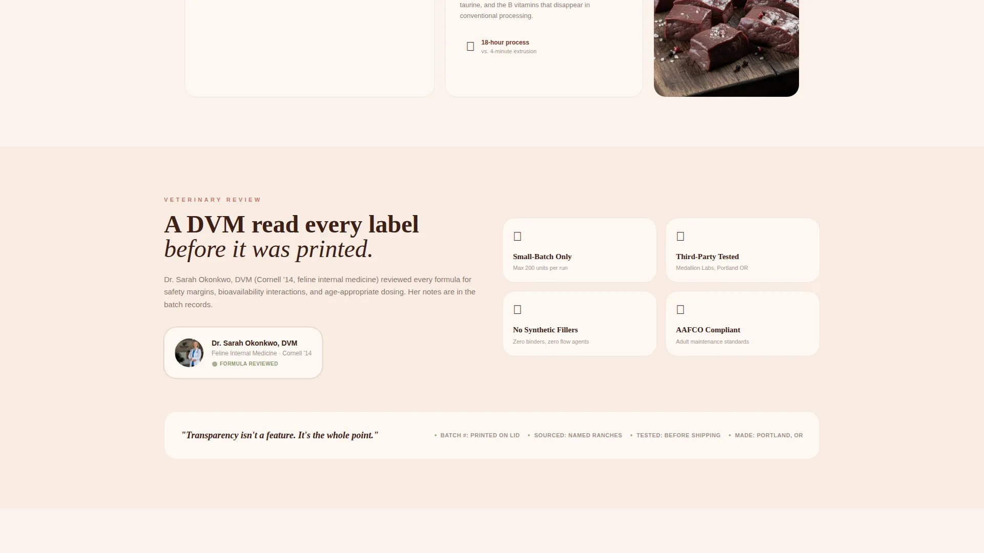 Cat Specialist Professional Website Template