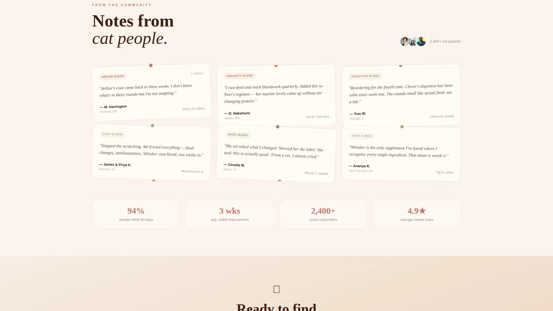 Cat Specialist Professional Website Template