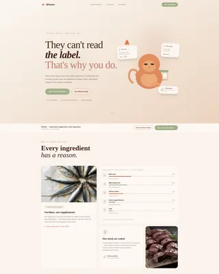 Cat Specialist Professional Website Template