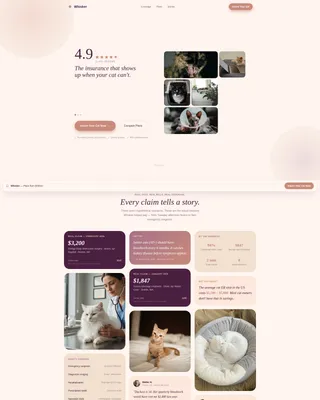 Cat Professional Website Template