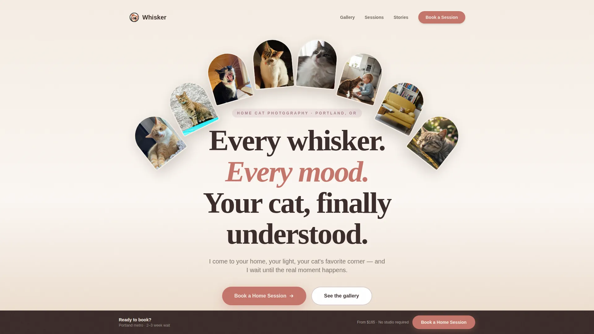 Cat Advanced Booking Website Template